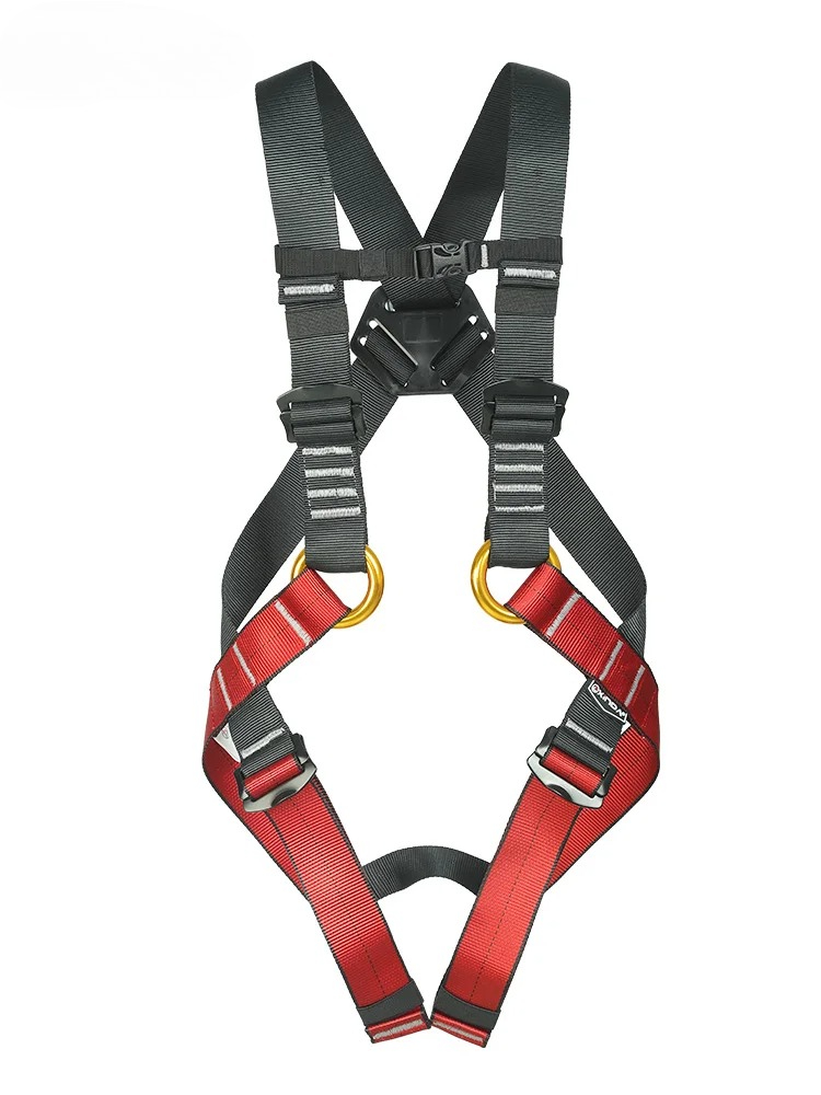 Kid's Safety Belt Child Full B - Kids Outdoor Climbing 评论和价格