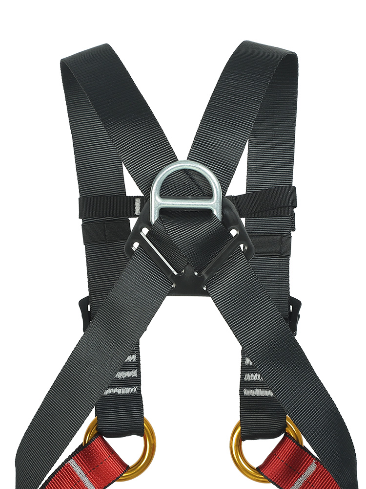 Kid's Safety Belt Child Full B - Kids Outdoor Climbing 评论和价格